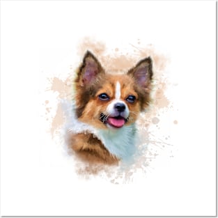 Pomeranian. Posters and Art